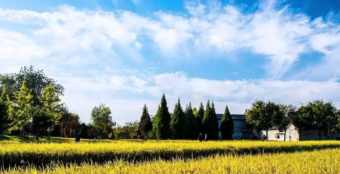 _北京秋天的尾巴_抓住夏天的尾巴