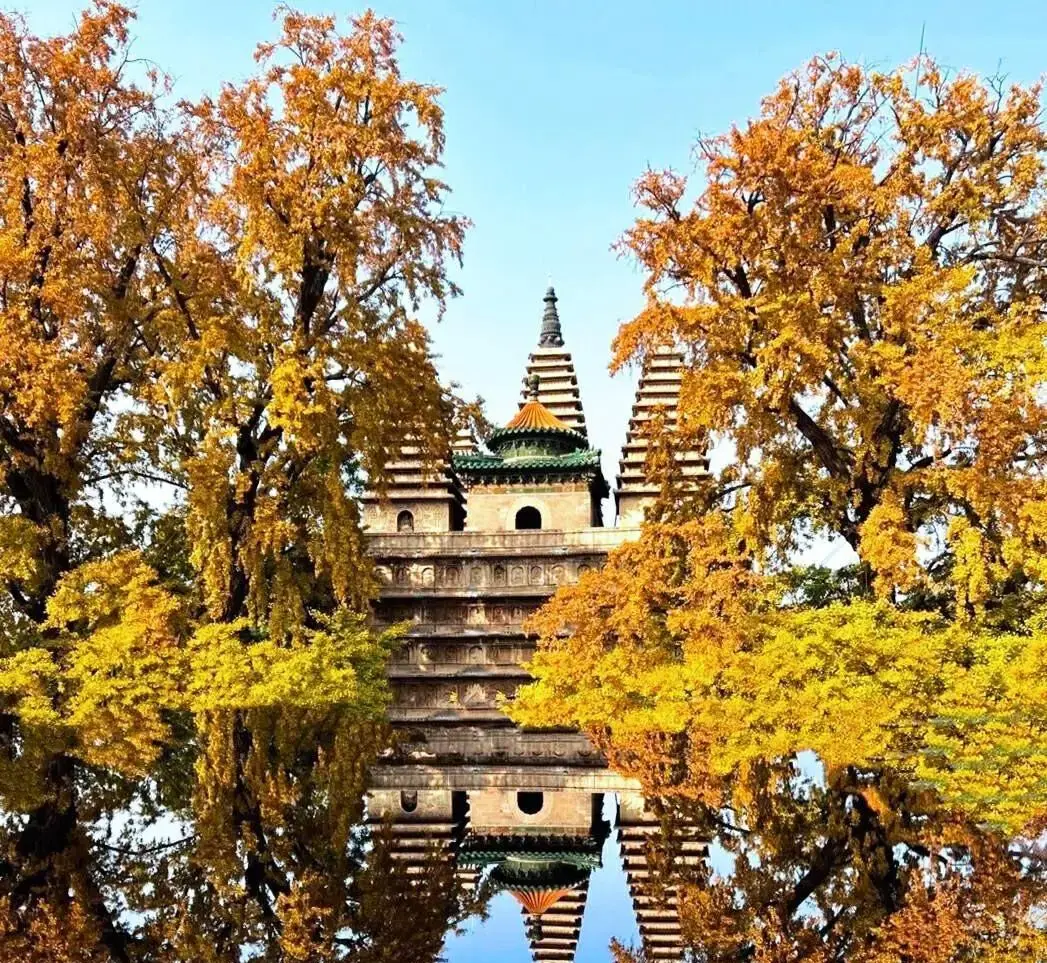 抓住夏天的尾巴__歌词抓住夏天的尾巴