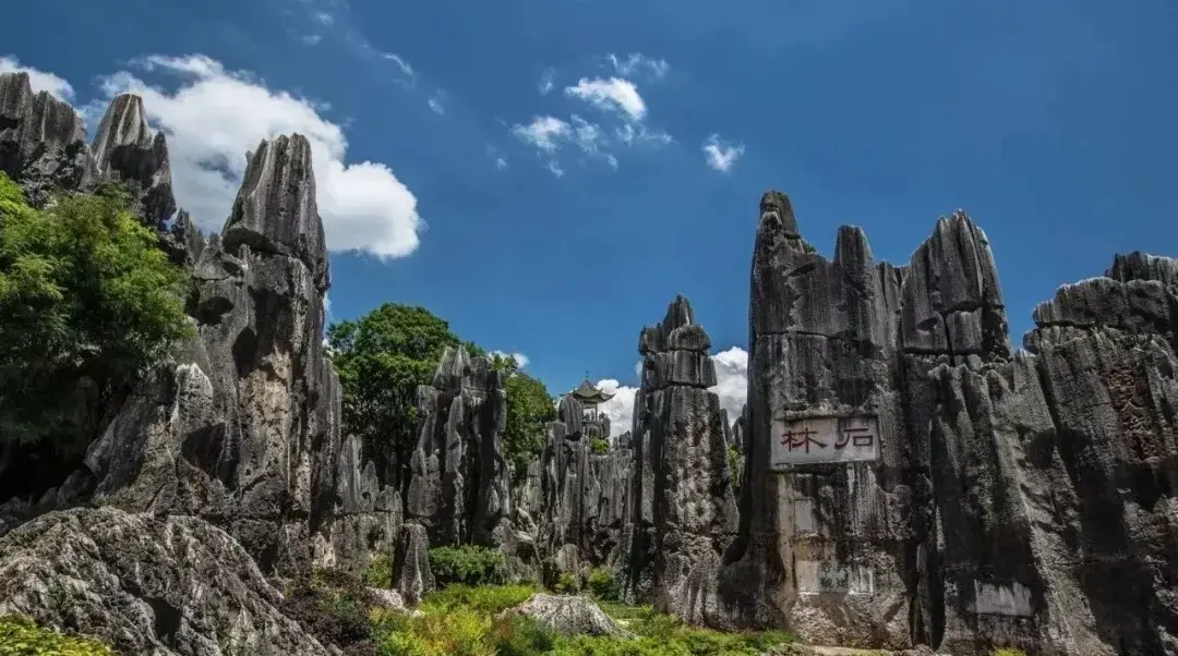 云南西双版纳游玩攻略_云南西双版纳旅游攻略自助游_