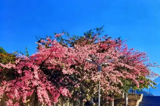 _三亚到昆明的火车票多少钱_三亚到昆明的高铁票价查询